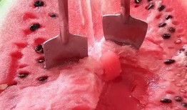 今日吃瓜感悟,品味人间百态